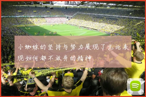 小蜘蛛的坚持与努力展现了无论表现如何都不放弃的精神